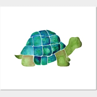 Watercolor Turtle Posters and Art